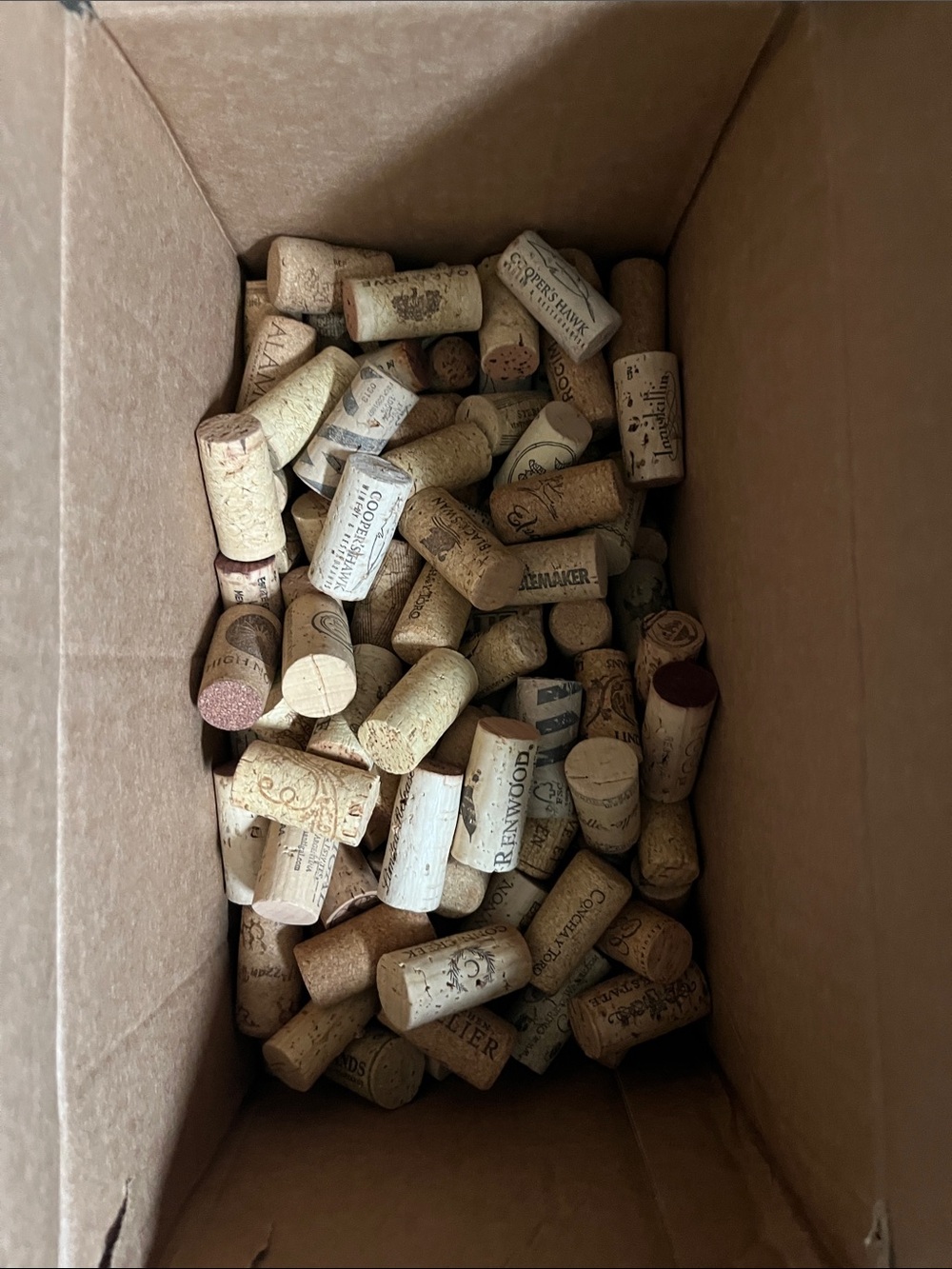 Box of Natural Wine Corks - Neutral Tan & Beige (200).